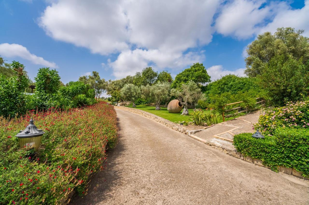 Landhuis Ideal Mallorca - Sa Pleta Petra (Mallorca)